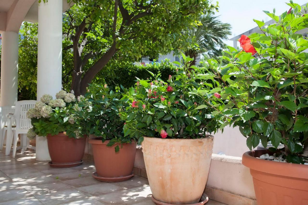 Aparthotel Villa Mozart Podgora Extérieur photo
